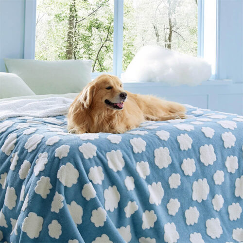 Cloud Flocked Waterproof Multi-Functional Sherpa D