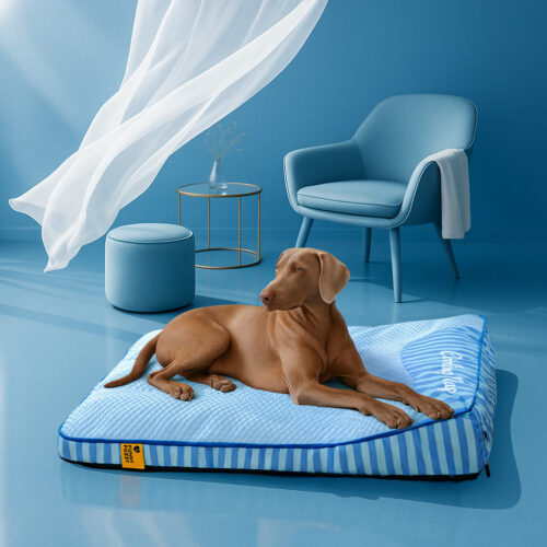 Extra Large Cooling Washable Rectangle Orthopedic