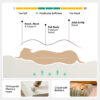 Orthopedic All-season Memory Foam Dog Bed - Funnyf