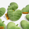 Plush Leaf-Shaped Squeaky Dog Toy - Funnyfuzzy Snu