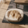Deluxe Faux Leather & Plush Removable Orthopedic D