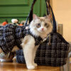 Soft Tweed Luxury Checkered Lightweight Dog & Cat 