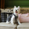 Soft Tweed Luxury Checkered Lightweight Dog & Cat 