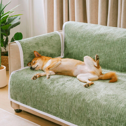 All-Season Anti-Slip Striped Pet Rug Furniture Pro