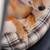 Large Classic Fluffy Booster Dog Car Seat-Keep Sec