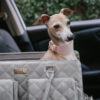 Large Carrying Stylish Multi-Functional Human-Dog 