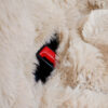 Fluffy Cozy Calming Pet Blanket Car Seat Protector