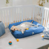 Fully Orthopedic Surround Support Waterproof Large