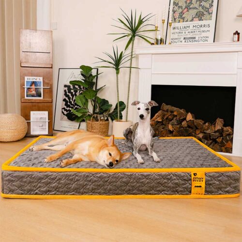 Hooman Innerspring Coils Orthopedic Human Dog Bed 
