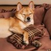 Classic Luxury Floral Washable Cozy Bolster Dog Pi