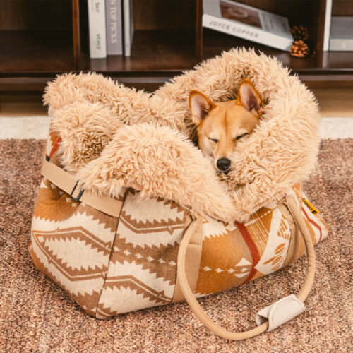 Large Reversible All-Season Indie Boho Pet Carrier