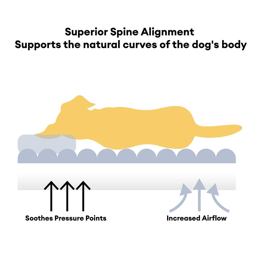 Large Soft Supportive Headrest Orthopedic Dog Sofa