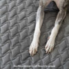 Hooman Innerspring Coils Orthopedic Human Dog Bed 