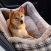 Large Classic Fluffy Booster Dog Car Seat-Keep Sec