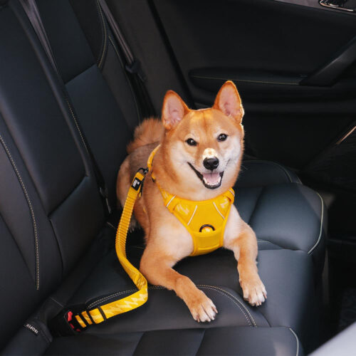 Car Seat Belt Buffer Adjustable Cool Dog Accessori