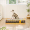 Hooman Innerspring Coils Orthopedic Human Dog Bed 