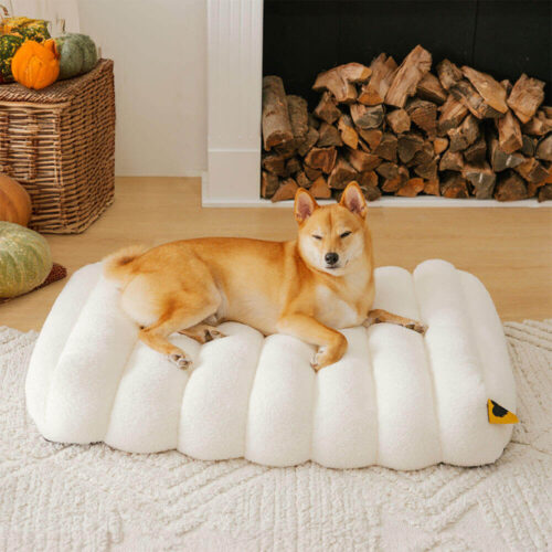 Large Washable Creamy Cozy Flat Dog Beds - Cheesec