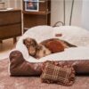 Classic Cozy Cushioning Pillow Bolster Dog Sofa Be