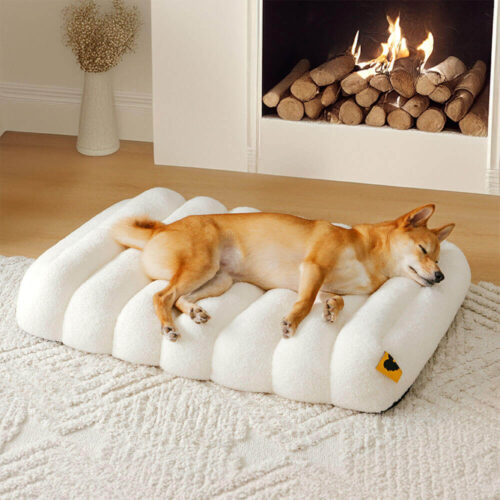 Large Washable Creamy Cozy Flat Dog Beds - Cheesec