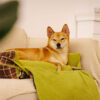 Large Washable Vintage Tartan Folding Blanket Dog 