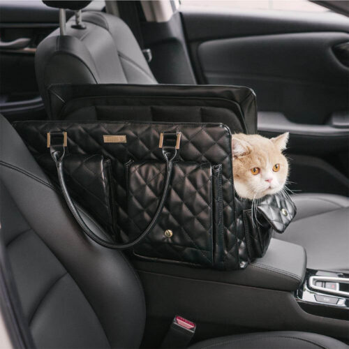 Large Carrying Stylish Multi-Functional Human-Cat 