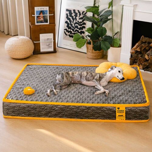 Hooman Innerspring Coils Orthopedic Human Dog Bed 