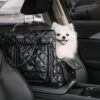 Large Carrying Stylish Multi-Functional Human-Dog 