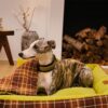 Large Washable Vintage Tartan Folding Blanket Dog 