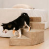 Cozy Corduroy Joint-Friendly Removable Spiral Pet 