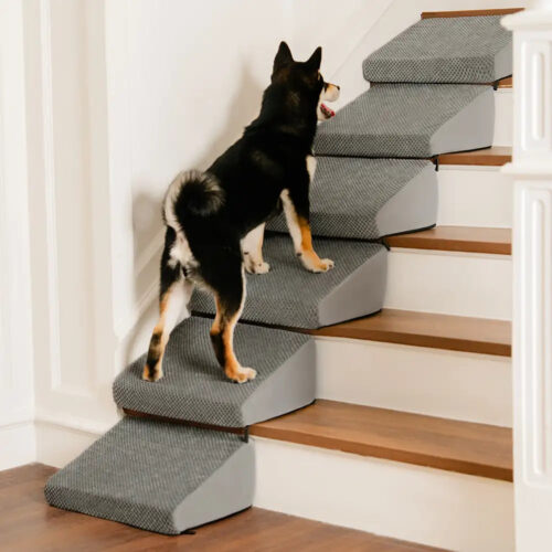 Modular Foam Dog Ramp Stairs for Staircase Stairs 