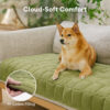 Scratch-proof All-season Stain-resistant  Couch Co