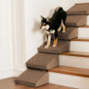 Modular Foam Dog Ramp Stairs for Staircase Stairs 
