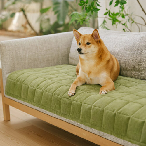 Scratch-proof All-season Stain-resistant  Couch Co
