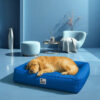 Fully Orthopedic Surround Support Waterproof Large