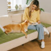 Scratch-proof All-season Stain-resistant  Couch Co