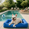 Fully Orthopedic Surround Support Waterproof Large