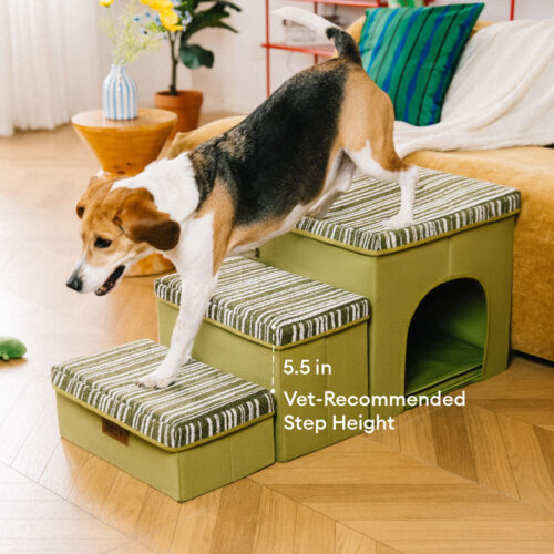 Foldable Dog Stairs with Storage and Condo - Funny