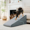 Multifunctional 2-in-1 Foldable Dog Stairs with Ra