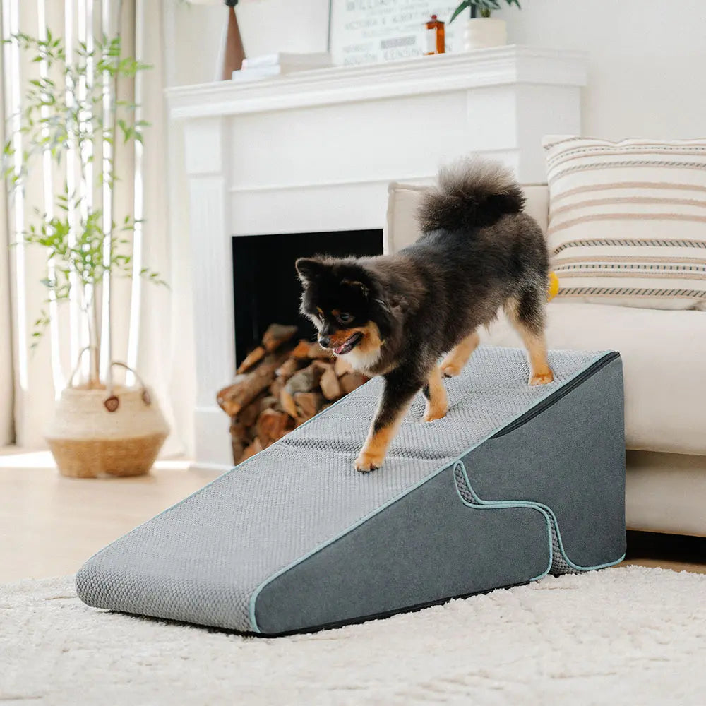 Multifunctional 2-in-1 Foldable Dog Stairs with Ra