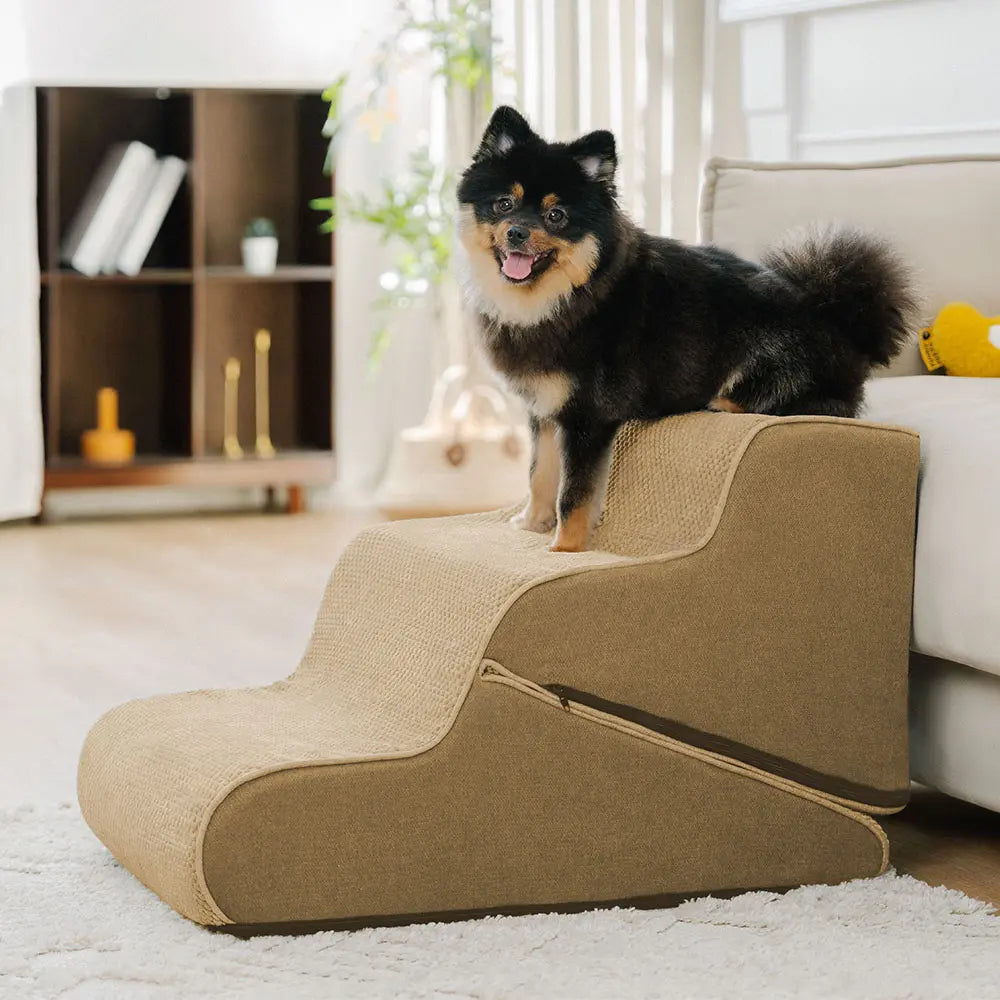 Multifunctional 2-in-1 Foldable Dog Stairs with Ra