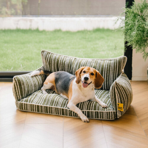 Orthopedic All-season Dog Sofa Bed - Funnyfuzzy Sn