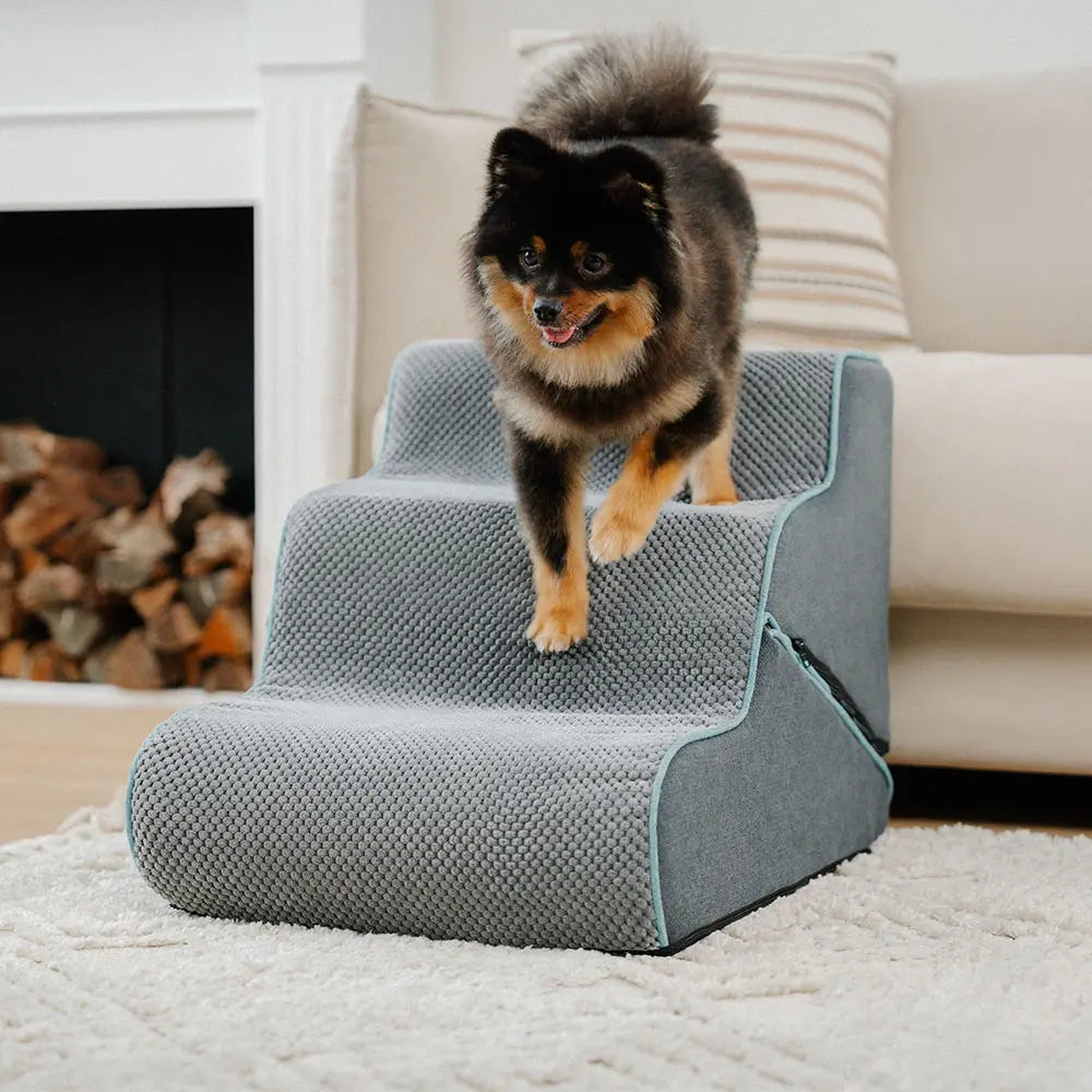 Multifunctional 2-in-1 Foldable Dog Stairs with Ra