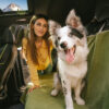 Waterproof All-season Stain-Resistant Dog Car Seat