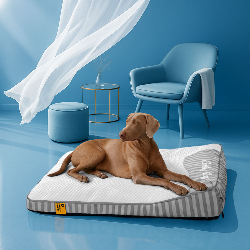 Extra Large Cooling Washable Rectangle Orthopedic