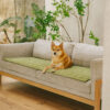 Scratch-proof All-season Stain-resistant  Couch Co