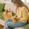 Scratch-proof All-season Stain-resistant  Couch Co