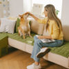 Scratch-proof All-season Stain-resistant  Couch Co
