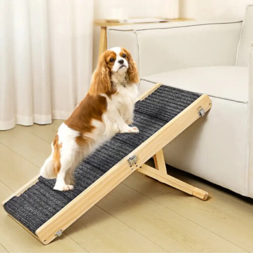 Wooden Dog Ramp 4 Levels Height Adjustable Foldabl