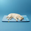Large Washable Cooling Non-slip Dog Mat - Cooling 