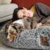 Luxury Super Large Sleep Deeper Oval Bed Human Dog